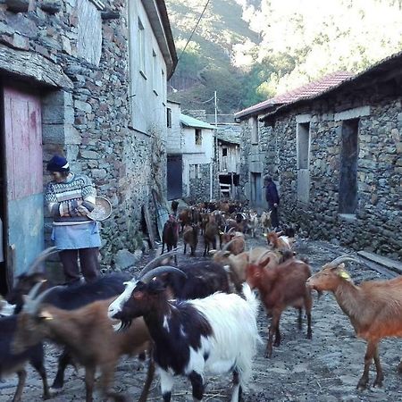 Covas do MonteCasa Bernaldoアパートメント エクステリア 写真
