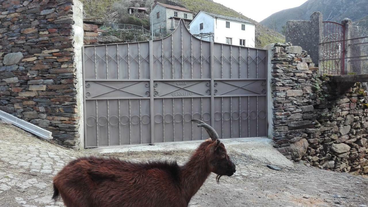 Covas do MonteCasa Bernaldoアパートメント エクステリア 写真