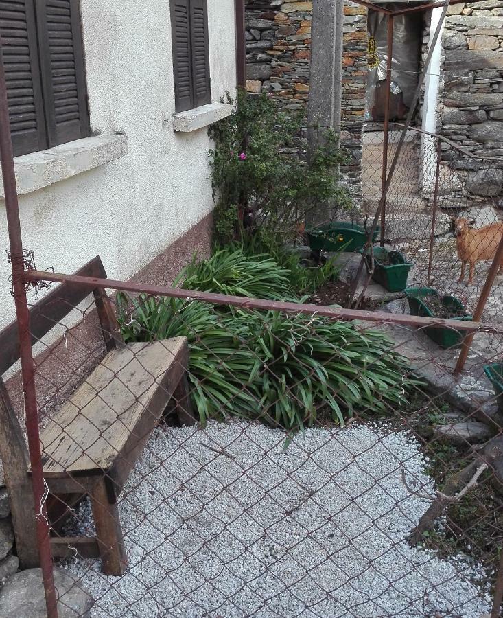 Covas do MonteCasa Bernaldoアパートメント エクステリア 写真